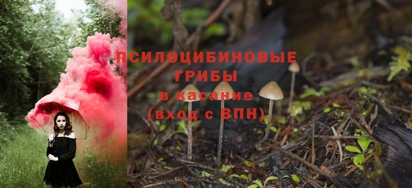 мескалин Надым