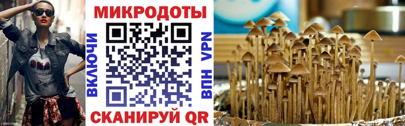 Галлюциногенные грибы MAGIC MUSHROOMS  Суоярви 